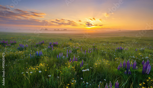 Golden sunbeams pierce through soft morning mist, illuminating a vast meadow with purple lupines and daisies. The rolling green field stretches toward the horizon with sundown behind wispy clouds
