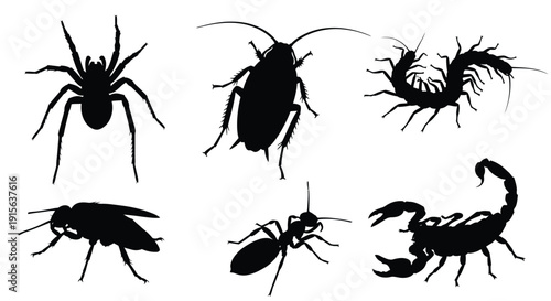 Collection of various insects and arachnids in black silhouette against a white background