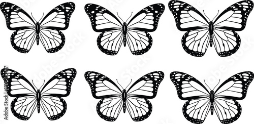 Butterfly silhouette vector illustration, black insect icons, symmetrical wing artwork, nature design elements, decorative butterfly graphic, flying insect symbol