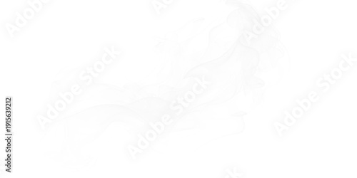 Tableau sur toile Abstract white smoke wisps gracefully flowing ethereal vapor texture on deep bla