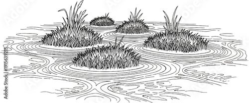 Rippling water flows around clumps of reeds and grasses