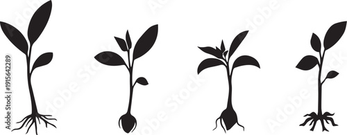 Vector file graphic element with the words 'vector file' in a simple sans-serif font.