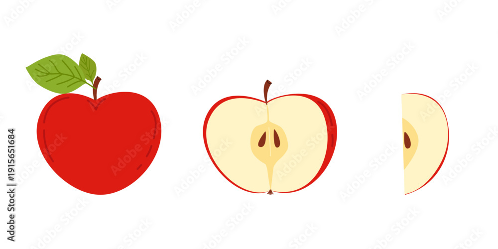 Fototapeta premium Vector illustration of a juicy red apple: a whole apple, a half apple with seeds, and a slice, isolated on a white background. A collection of ripe, healthy apples for autumn harvest, school design