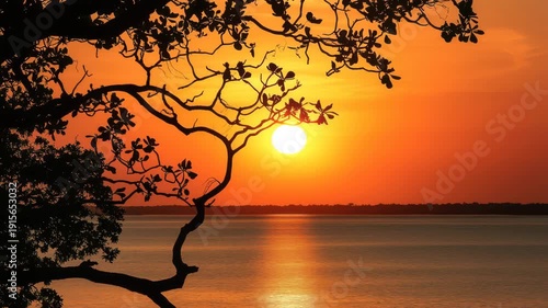 Silhouette of tree branches against vibrant orange sunset over calm water surface in peaceful tropical atmosphere