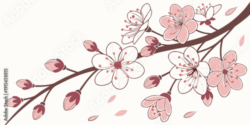 Elegant cherry blossom branch illustration, vector