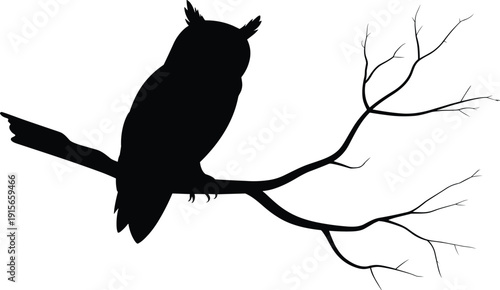 Owl silhouette perched on tree branch, nocturnal bird illustration with detailed woodland scene, minimalist wildlife vector isolated background