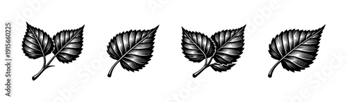 Leaf vector icons set. flat nature symbols. black and white foliage graphics collection