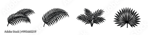 Leaf collection: flat vector icons set with botanical silhouettes - nature and tropical designs