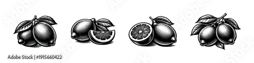 Lemon flat vector icons set. citrus and fruit illustrations. vintage black and white collection