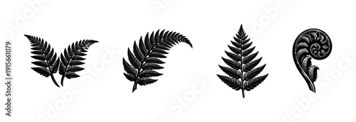 Fern flat vector icons set. leaf silhouettes and botanical fronds. nature and plant collection