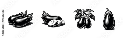 Eggplant icons set. flat vector icons set with aubergine, black and white vegetable illustrations
