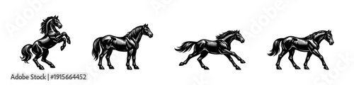 Flat vector icons set of horses. equine silhouettes collection. horse poses and movements