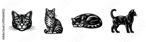 Flat vector icons set: cat silhouettes in vintage style - feline illustrations collection