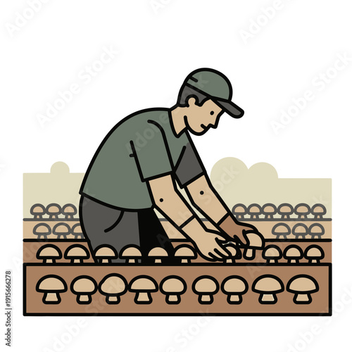 A Farmer Harvesting Fresh Mushrooms in an Eco-Friendly Cultivation Environment