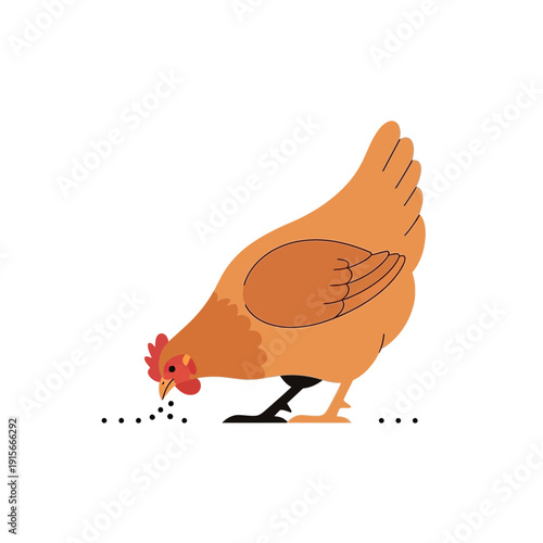 A Simple Cartoon Illustration of a Brown Hen Pecking at the Ground for Food on White
