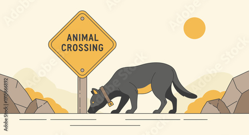 A Lone Canine Navigates A Wilderness Path Under A Golden Sun