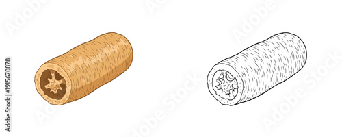 Natural organic loofah sponge in colored cartoon and line art styles with brown and beige tones representing an eco-friendly bath accessory isolated on a white background