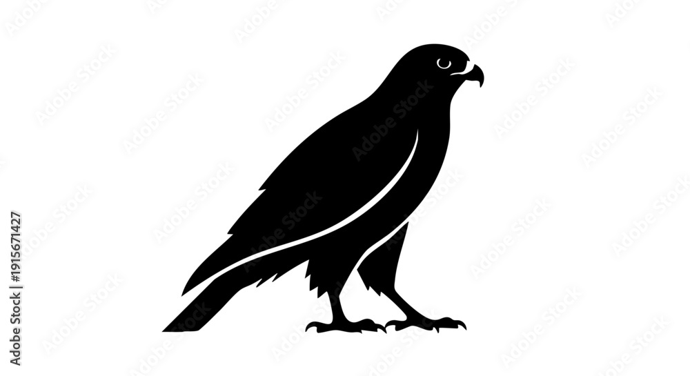 Obraz premium Falcon silhouette vector on white background 