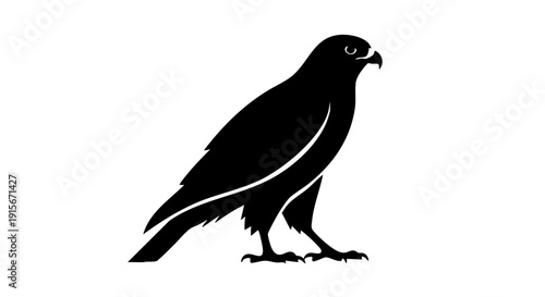 Falcon silhouette vector on white background 