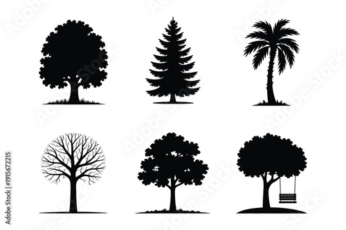 Diverse Tree Silhouettes: Deciduous, Evergreen, Palm, Bare