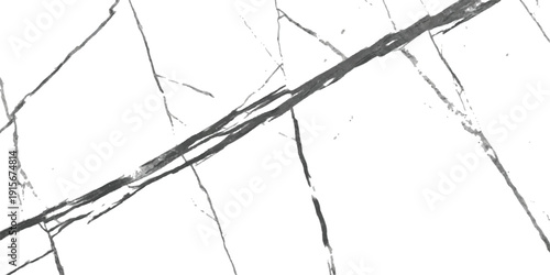 A minimalist abstract texture featuring intricate black and grey veining on a bright white background