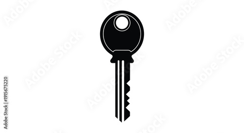 A stark black and white silhouette depicts a standard house key with a traditional patterned blade high quality professional detailed