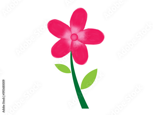 Vibrant pink flower with green stem and leaves isolated