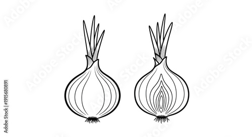 Simple black and white illustration depicting two onions in contrasting views