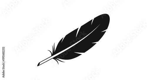 A stark black and white image depicts a single feather showcasing its delicate barbs and quill high quality