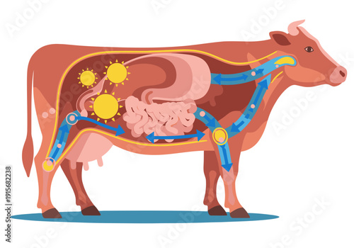 Illustrative diagram showcases dairy nutrition and fat bypass in a cow. Vibrant colors and clear labeling highlight the digestive process. Ideal for educational visuals.