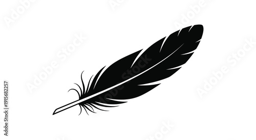 A striking black and white illustration depicts a single feather showcasing its delicate barbs and quill high quality professional detailed
