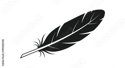 A striking black and white illustration depicts a single feather showcasing its delicate barbs and quill high quality