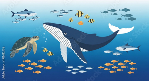 Marine life ocean creatures whale fish turtle shark school swimming underwater ecosystem