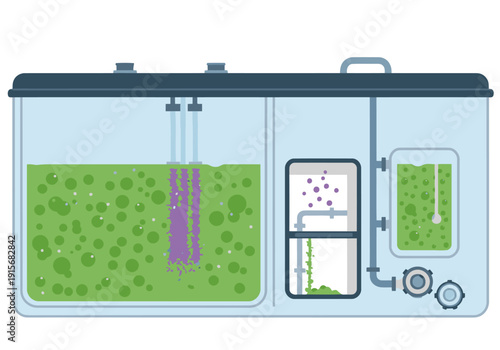 A stylized illustration depicts an algae biomass production system with layered compartments and color-coded components. It showcases a modern, scientific setup for algae cultivation.