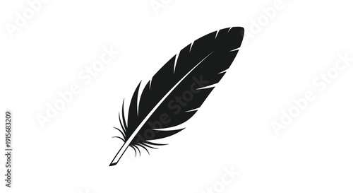 A striking black and white illustration depicts a single feather angled diagonally across a plain white background