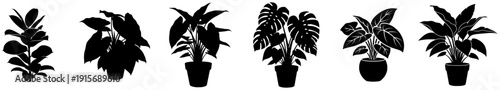 A set of various plants in vases, black, flower, illustration, plant, profile, reed, stem, vase, white, against transparent background