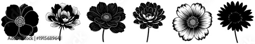 A set of six black and white floral illustrations, bird, black, feather, flower, illustration, pole, white, wing, against transparent background