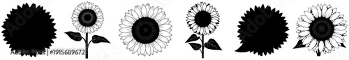A set of sunflowers with different shapes and textures, black, design, feather, flower, illustration, white, against transparent background
