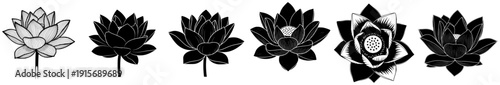 A set of six black and white illustrations of lotus flowers, black, design, feather, flower, illustration, plant, white, against transparent background