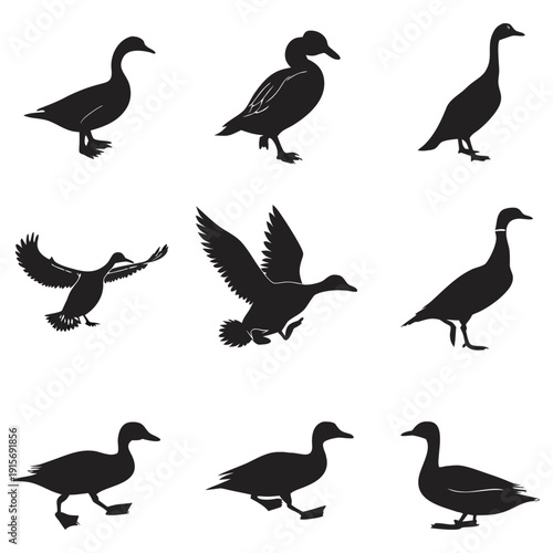 Duck Silhouette Collection Set