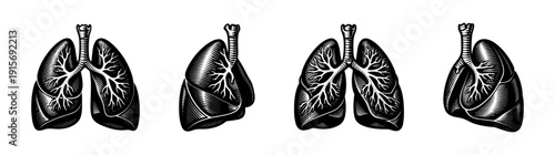 Lungs vector icon set. flat medical and anatomy symbols collection