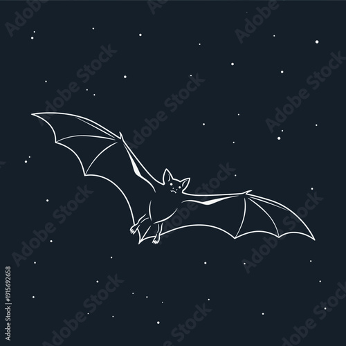 Elegant Bat Silhouette Flying Under A Starry Night Sky