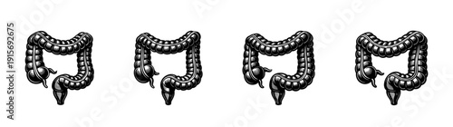 Digestive system flat vector icons set. intestines health symbols. anatomical illustrations collection