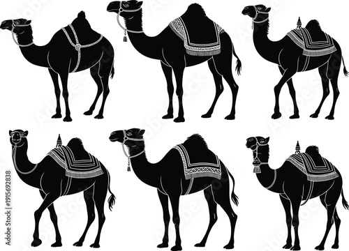 Decorative camel silhouettes with traditional ornate saddles for middle eastern travel tourism and desert culture design