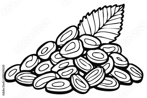 Delicious dried fruit dates or prunes with a decorative leaf line art
