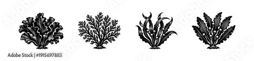 Seaweed icon collection. flat vector icons set of marine plants and algae illustrations