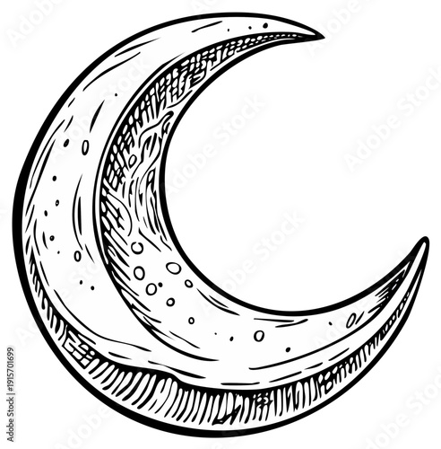 Engraved Crescent Moon: Celestial Illustration, Astronomical Symbol, New Moon Phase