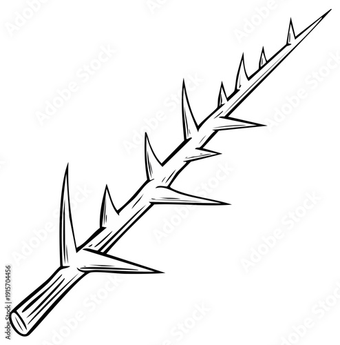 Sharp Thorny Branch Black and White Illustration