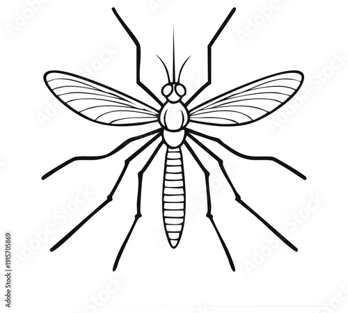 Detailed Line Art Illustration of a Mosquito with Open Wings and Long Legs