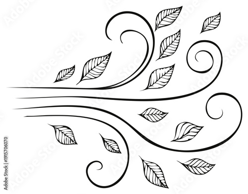 Hand drawn wind gust with swirling decorative lines and flying leaves vector element